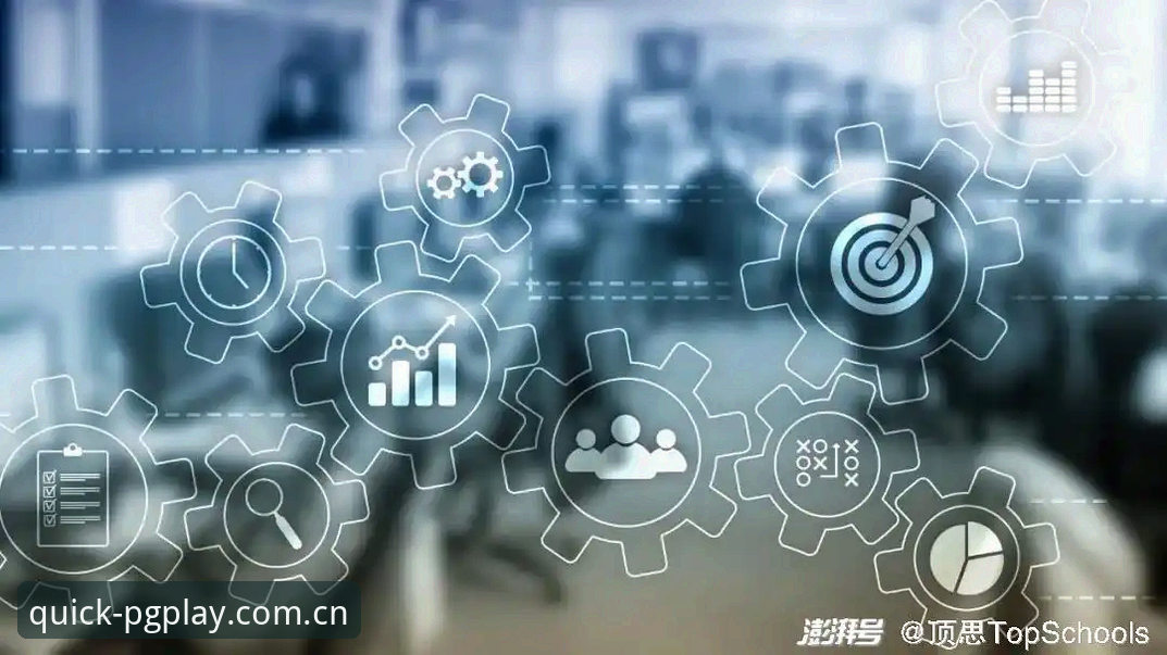 中文版电子游戏试玩平台官方主页CN版使用指南：从信息冗余到决策高效的能力迁移